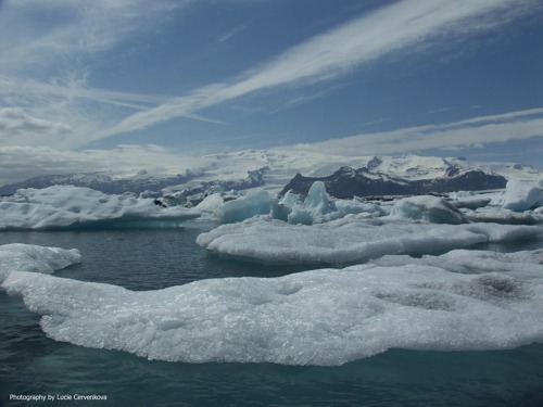 Maraton v Reykjavíku 19.8.2023